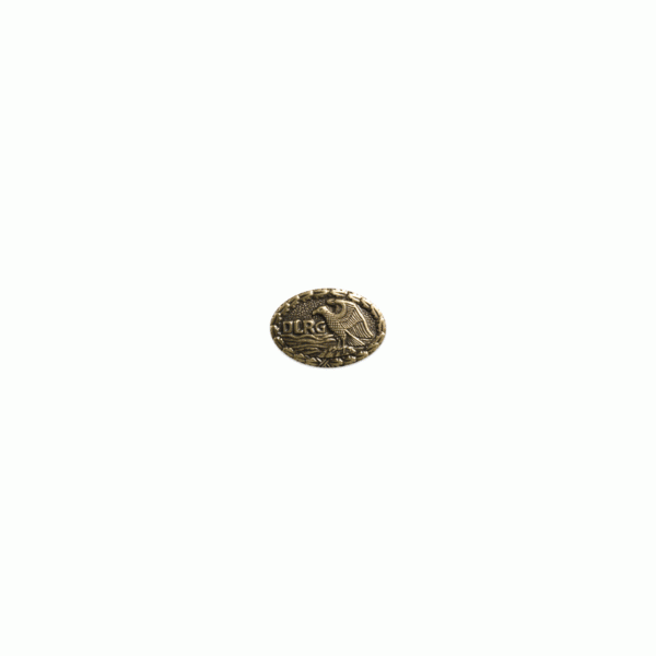 Pin DRSA Bronze