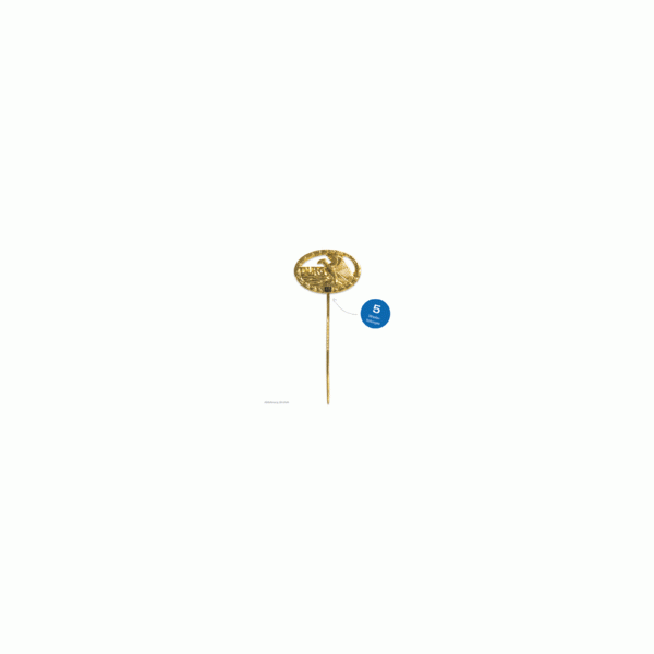 Nadel DRSA Gold - 5. Wiederholung