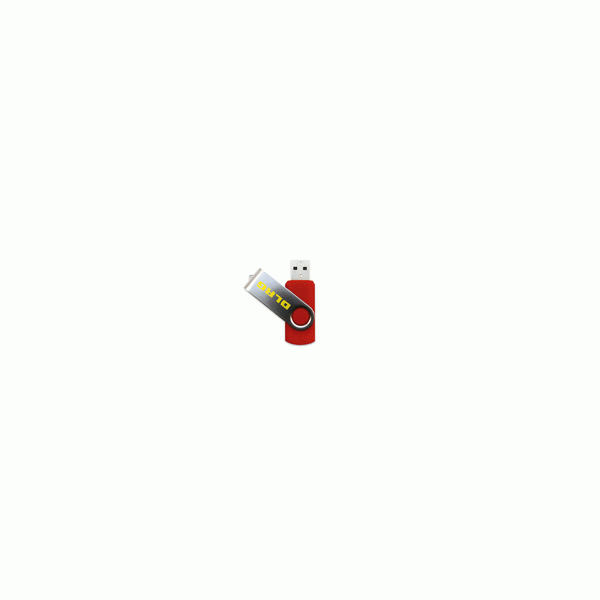 USB Stick 8 GB rot mit DLRG Aufdruck (gelb)