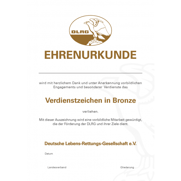 Verdiensturkunde, Bronze, DIN A4
