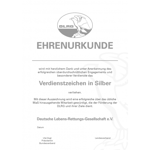 Verdiensturkunde, Silber, DIN A4