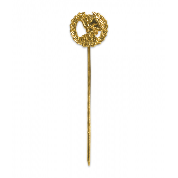 Verdienstnadel Mini Gold