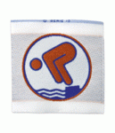 Stoffabzeichen DSA Bronze