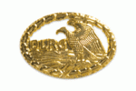 Pin DRSA Gold