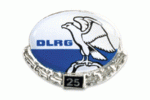 Pin 25 Jahre Mitglied