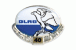Brosche 40 Jahre Mitglied