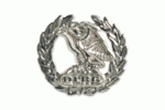 Verdienstbrosche Silber