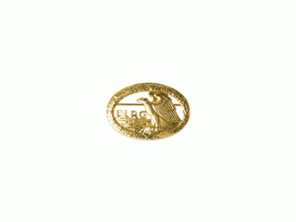 Original DRSA gold für Uniformtaschen