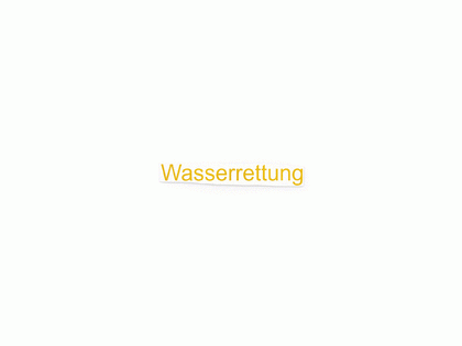 Schriftzug Wasserrettung 80 mm -Gelb-