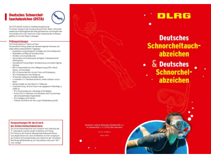 Faltblatt »DSTA und DSA«