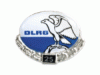 Pin 25 Jahre Mitglied