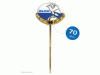 Nadel 70 Jahre Mitglied