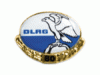 PIN 80 Jahre Mitglied